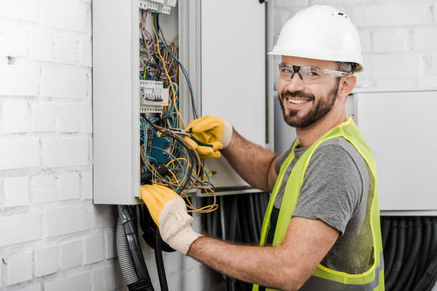 Best Electric Panel Repair  in Crystal City, MO